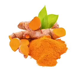 ターメリックの写真